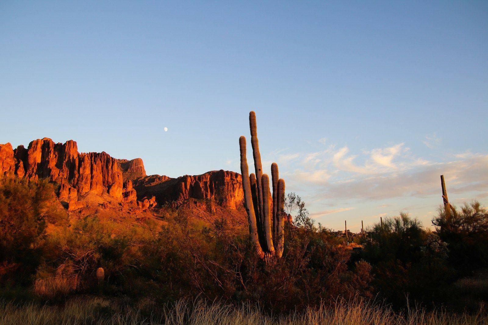 Superstition cliffs glowing red at sunset over desert brush